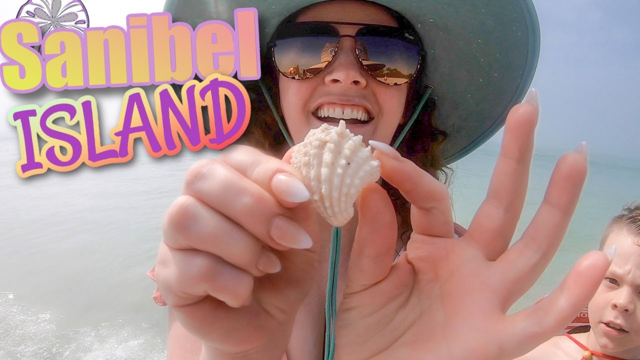Finding the Best Seashells on Sanibel Island