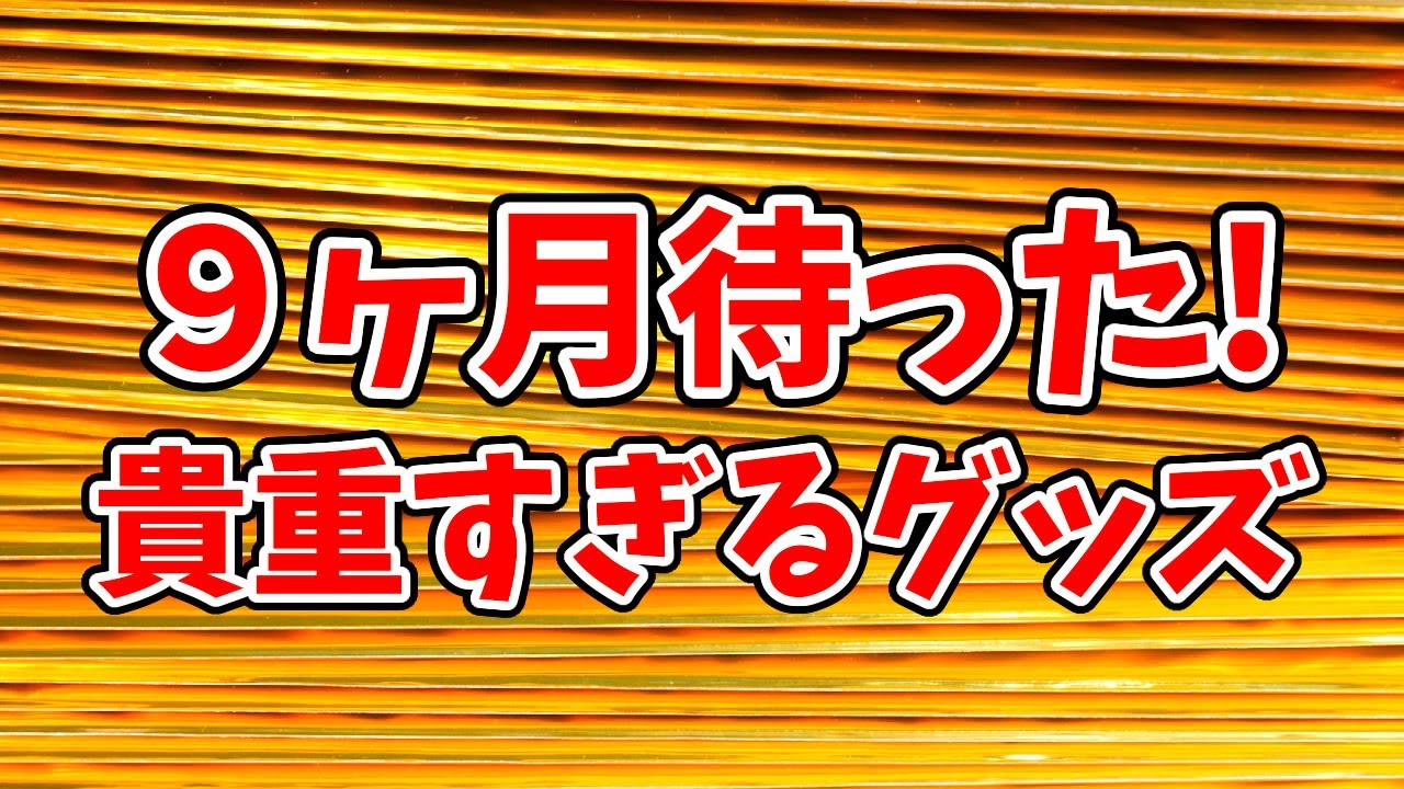 【鬼滅の刃】９ヶ月待ち！？５万円分の貴重なグッズを開封する！