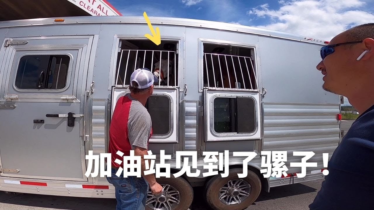 竟然被女粉丝请了早茶 | 刚哥加油站上演指骡为马