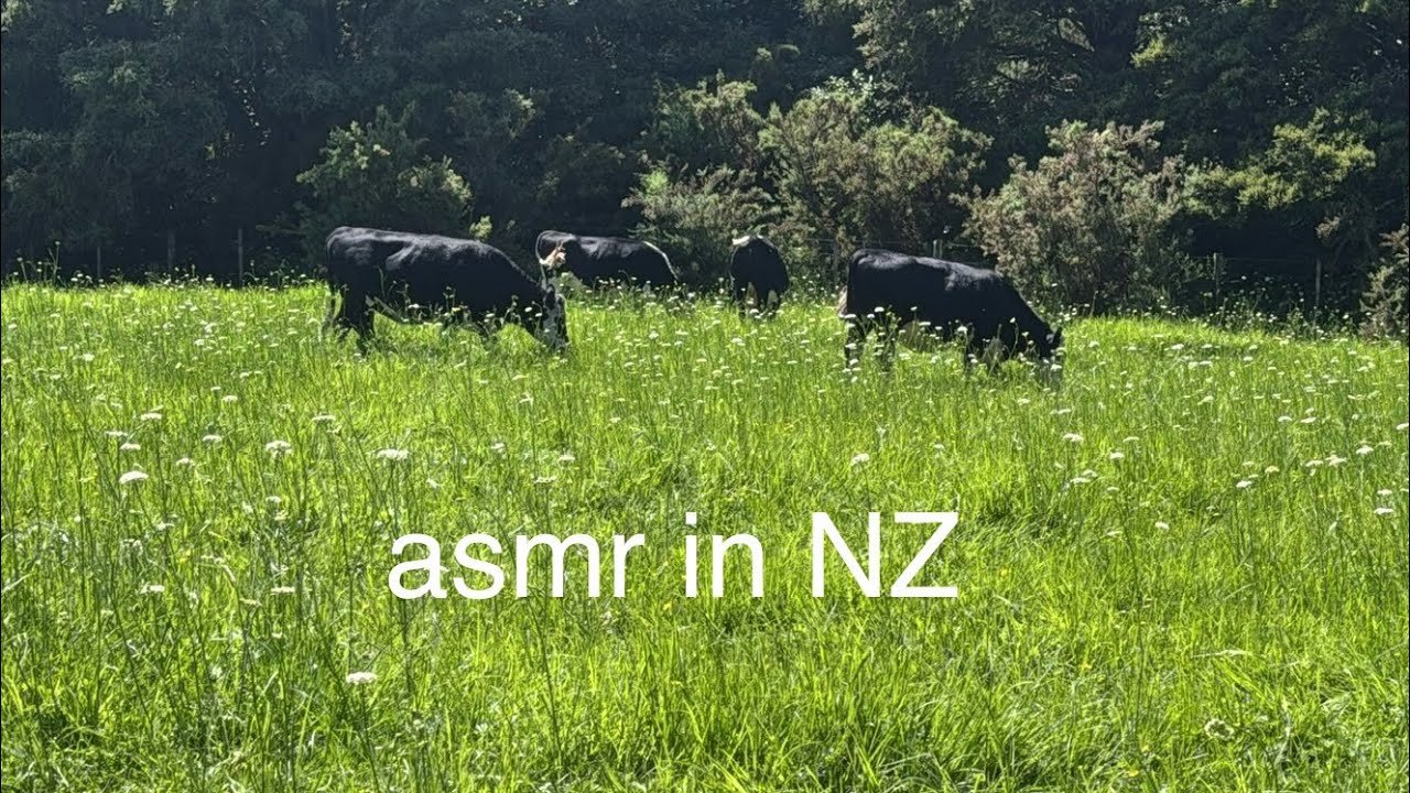 asmr in nature in nz🇳🇿