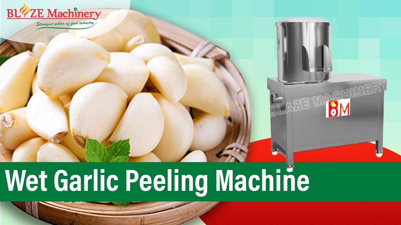 Wet Garlic Peeling Machine | Garlic Peeling Machine Commercial | Blaze Machinery