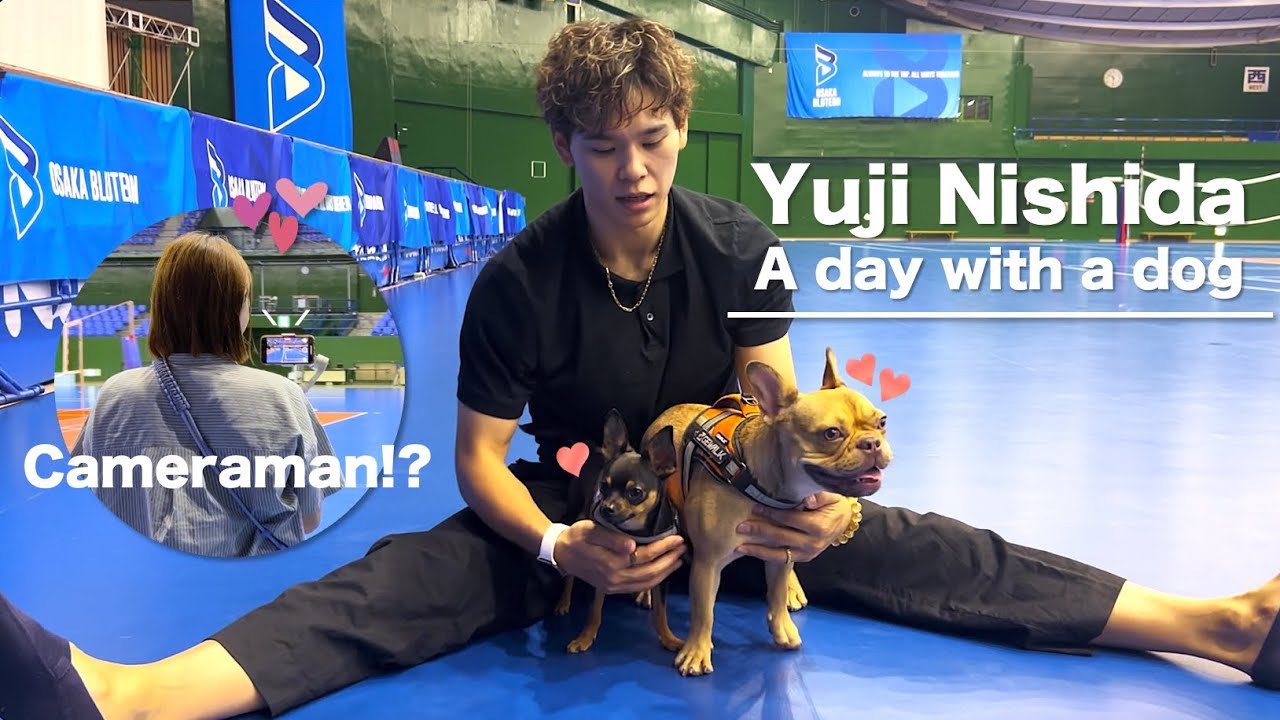西田家の愛犬チャーリー&ハリソンを紹介します｜Yuji Nishida