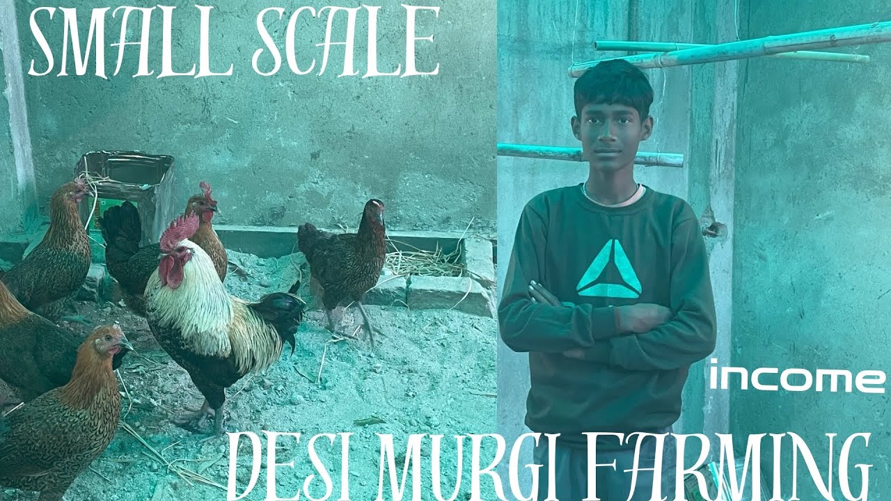 Small scale murgi farming|chote bachhe😱 1.vlog INCOME 