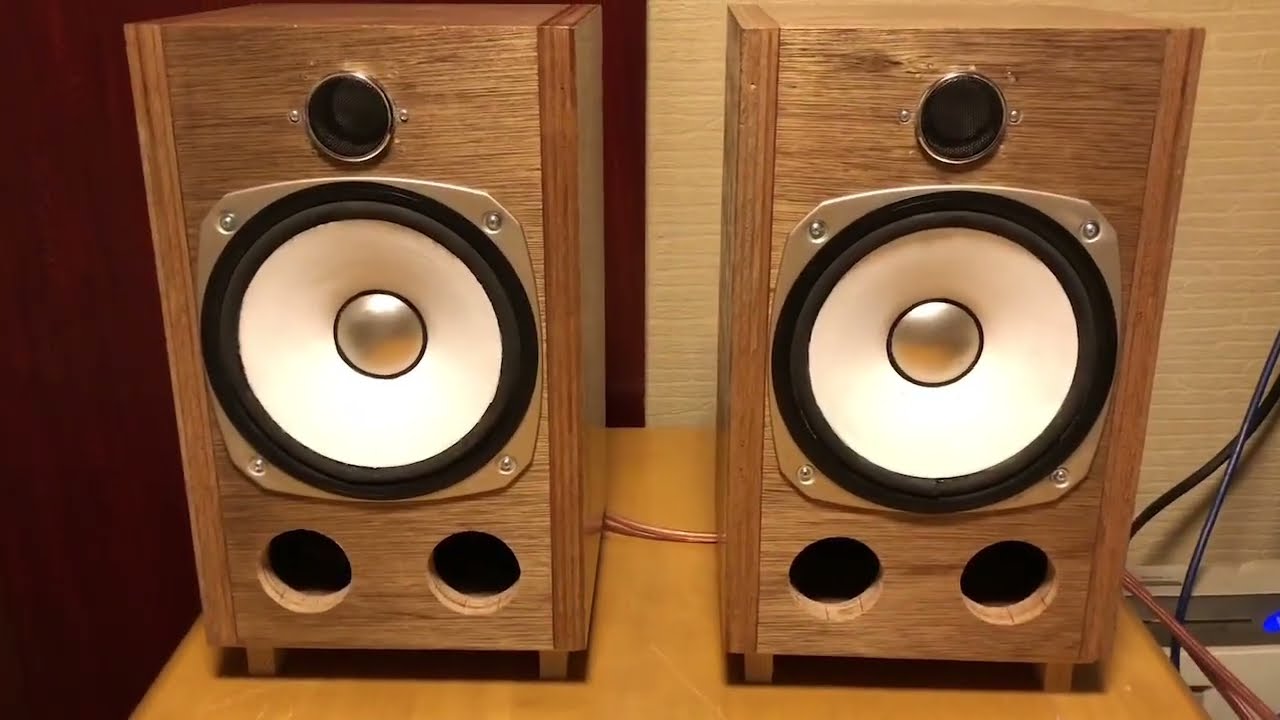 オーディオ試聴動画 Fostex FF225N20cmフルレンジ +ツィーター 自作スピーカー(フォステックス) ①