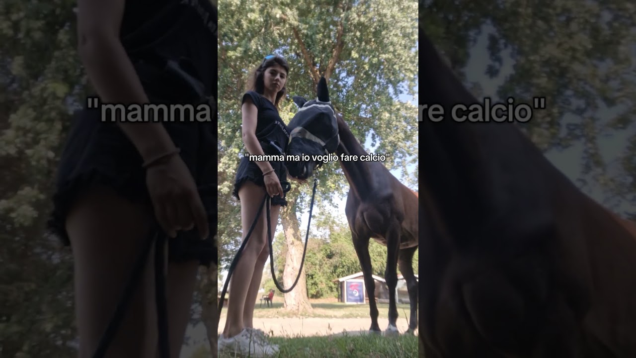 Io ti avevo gi&agrave; comprato il cavallo😭🙏 #equitazione #sport #cavalli