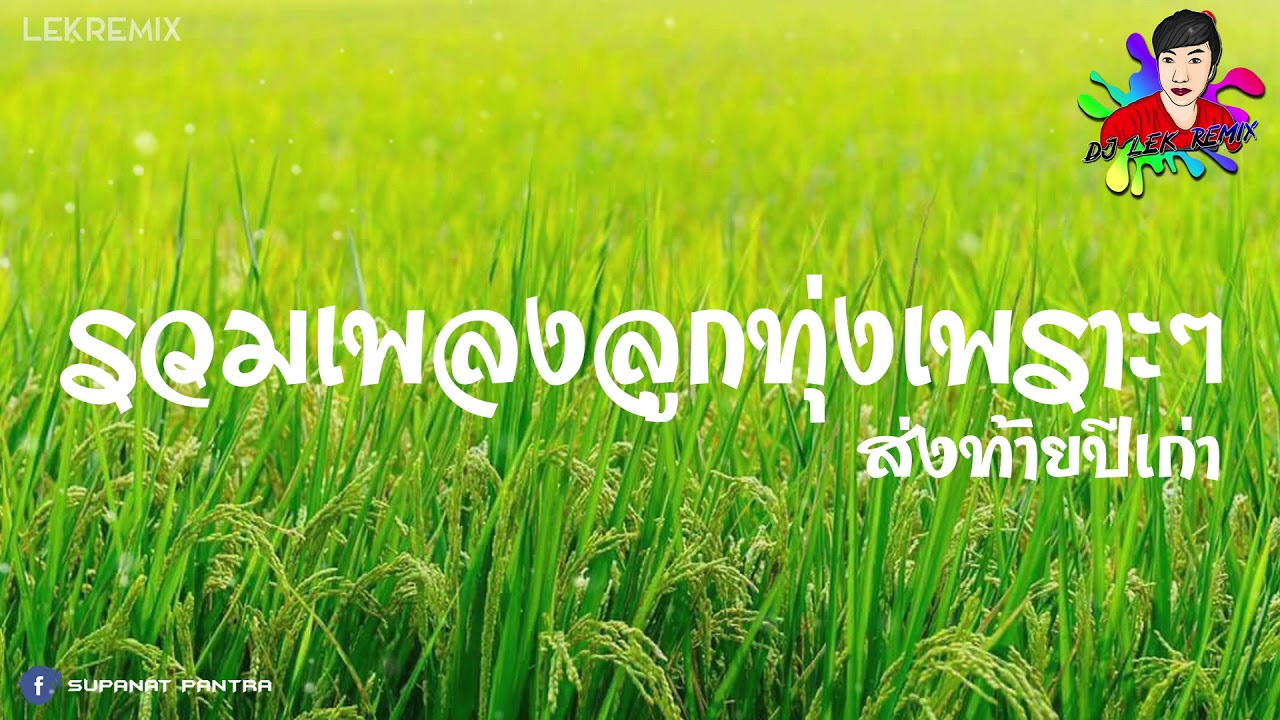 #รวมเพลงลูกทุ่งเพราะๆ ส่งท้ายปี 2020 คัดมาแล้ว 【REMIX VERSION】Dj Lek Remix Official