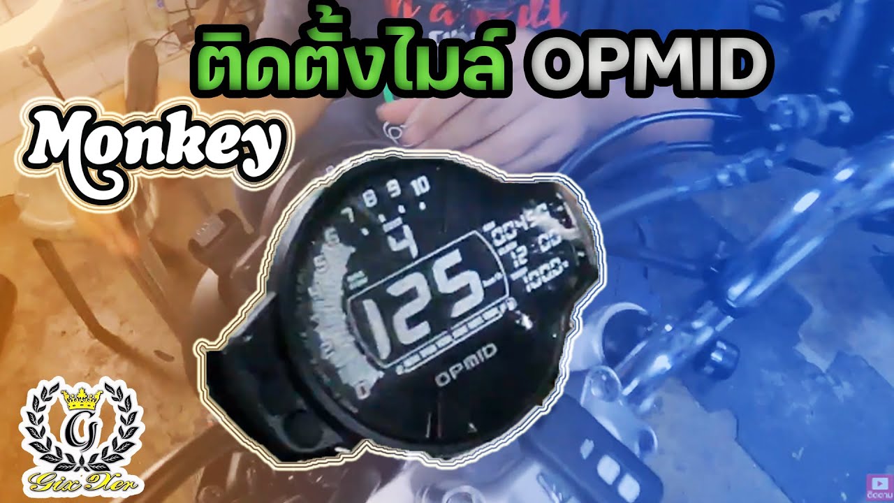 opmid Monkey125