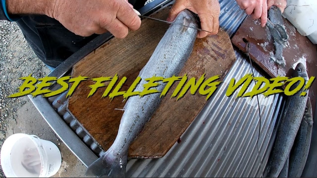 Best Filleting Video! How To Fillet King George Whiting.