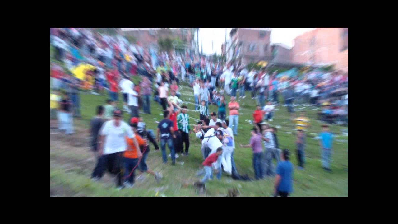 festival 2012 los mellos