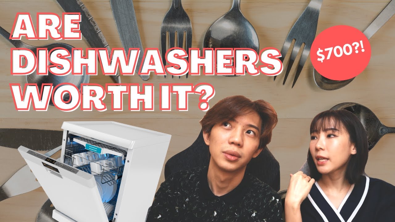Стоит ли покупать посудомоечные машины? (Обзор + Как самостоятельно установить посудомоечную маши...
