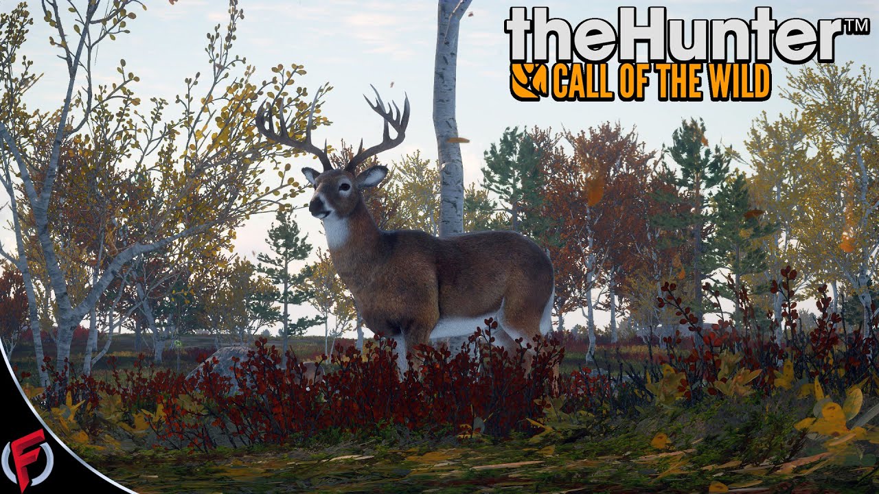 The Hunter COTW #135 Shot The Wrong One!
