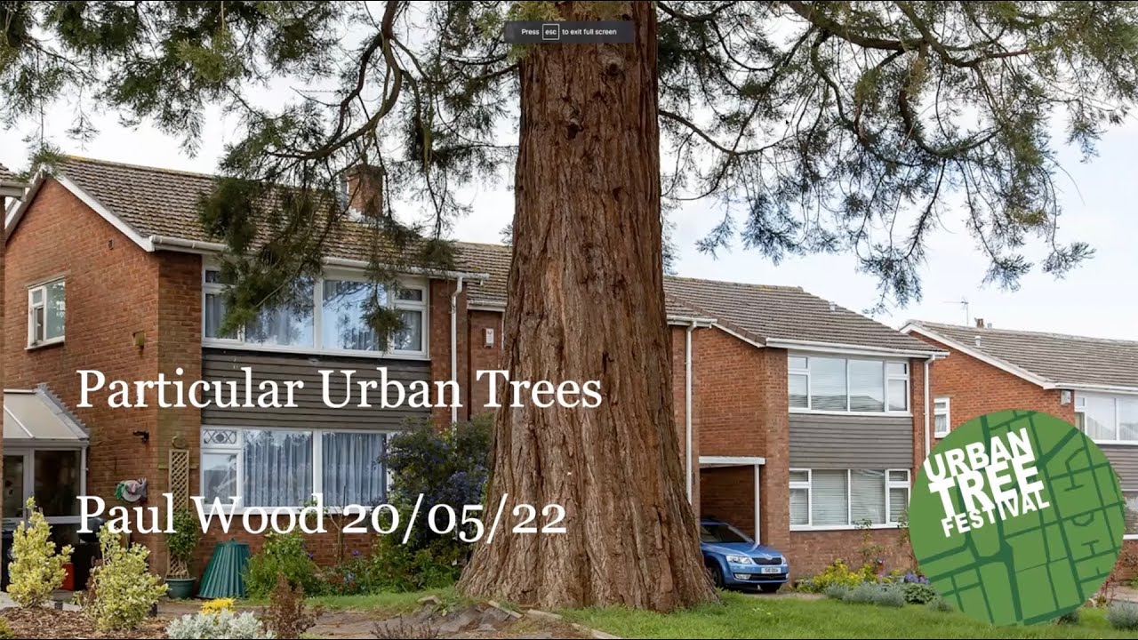 Particular Urban Trees with Paul Wood