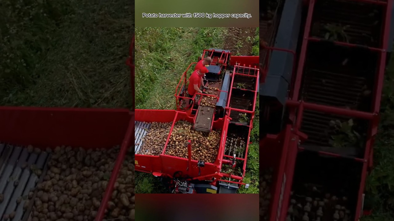 Potato Harvester ##❗️❗️