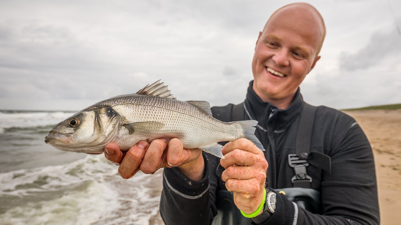 VISblad TV - strandvissen op Maasvlakte 2!
