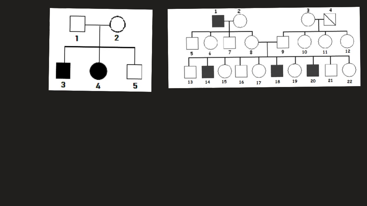 Grade 12 pedigree (3) Discuss the localization of the gene based on pedigree