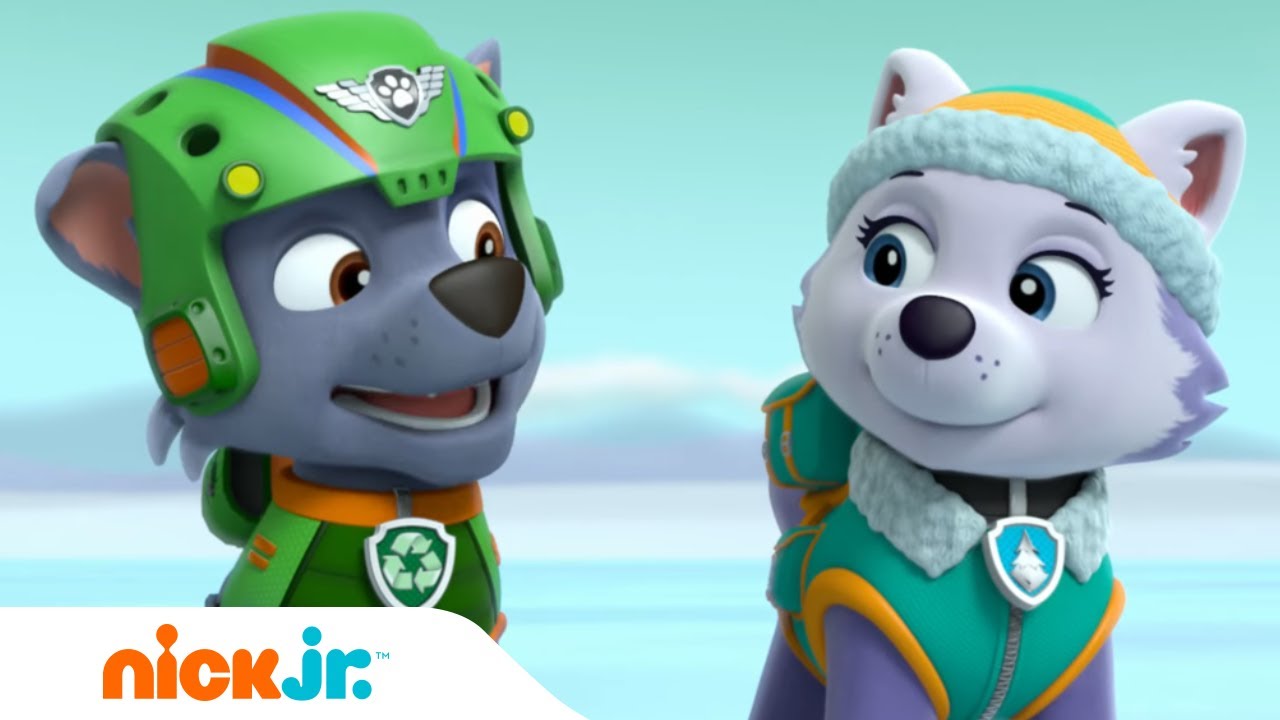 Psi Patrol | Psi Patrol redt ijsbeerbaby's! 🐻 | Nick Jr.