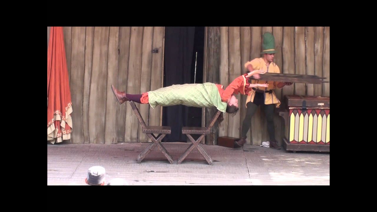 LE MAGICIEN MENESTREL DU PUY DU FOU.