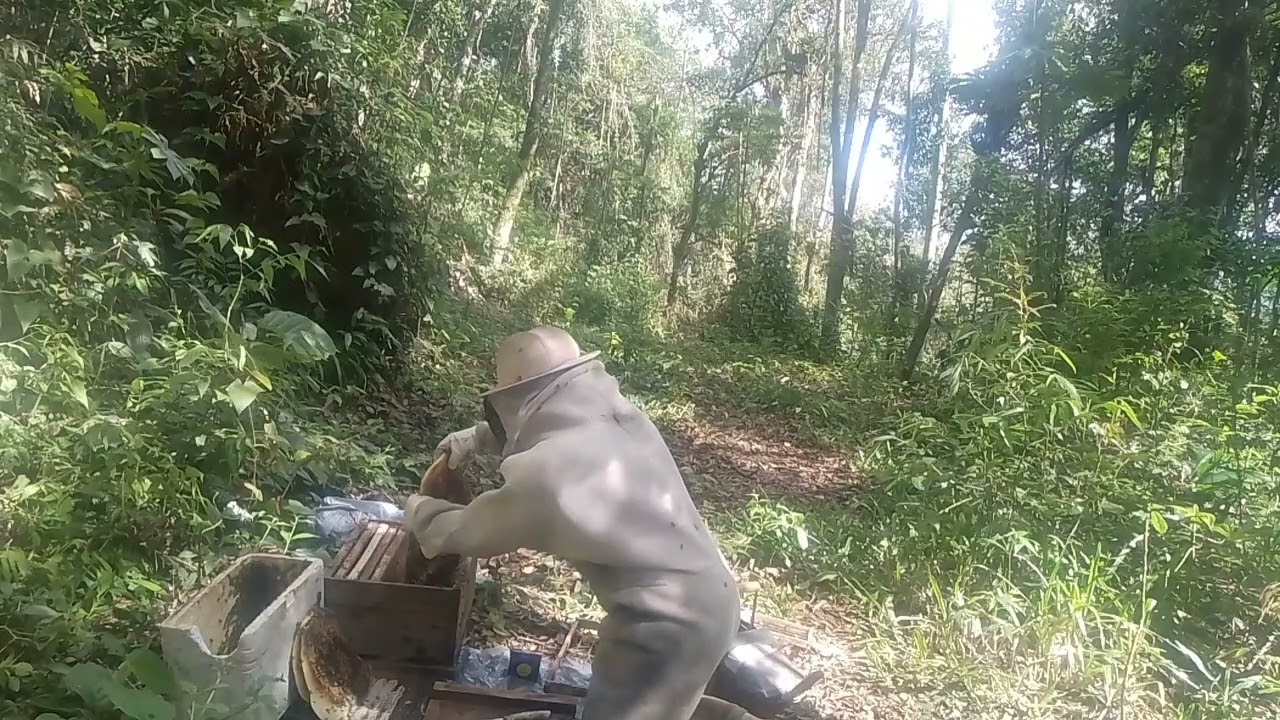 Transferência da captura isca de isopor 