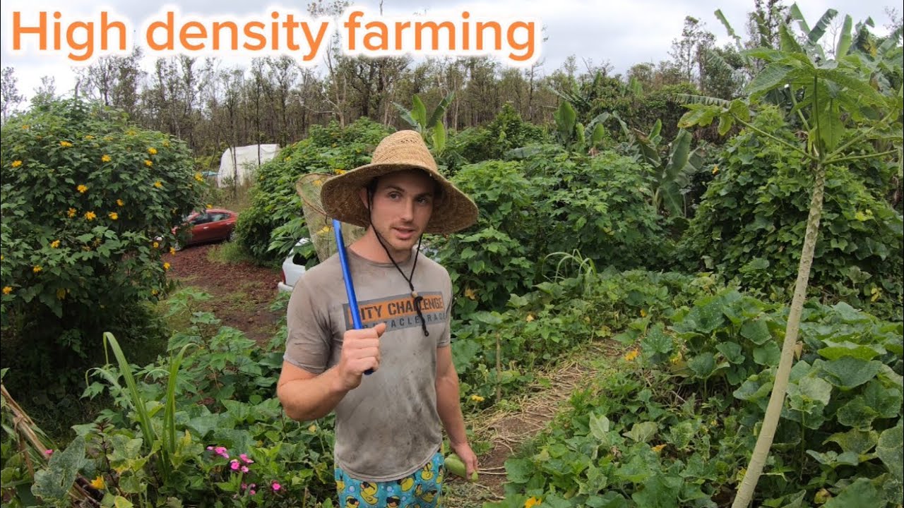 This Man’s Revolutionary way of Farming in Hawai’i