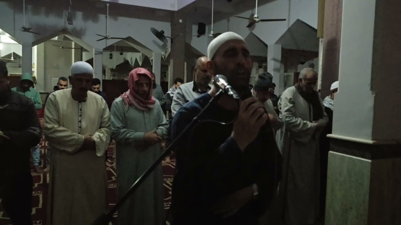 ٣ فبراير ٢٠٢٦