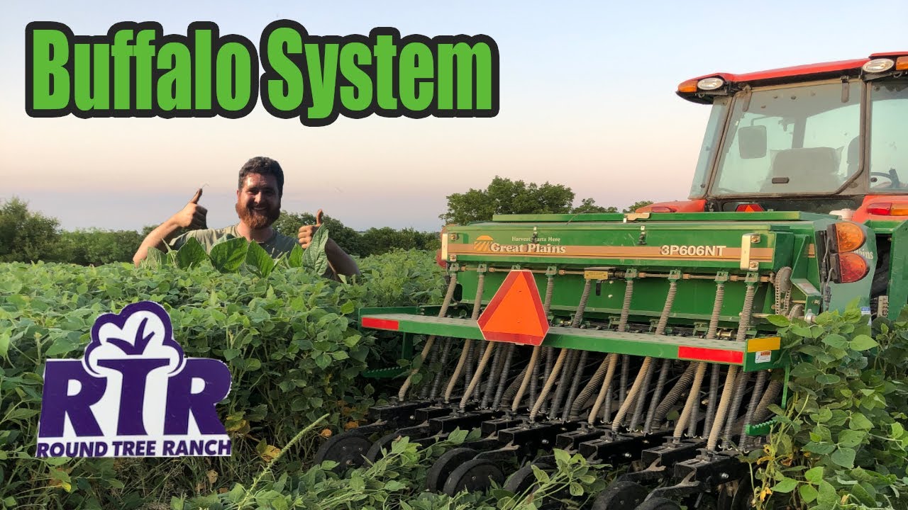 Рядовой посев сои с использованием сеялки No-Till — система Eagle Seed Fall Buffalo Foodplot