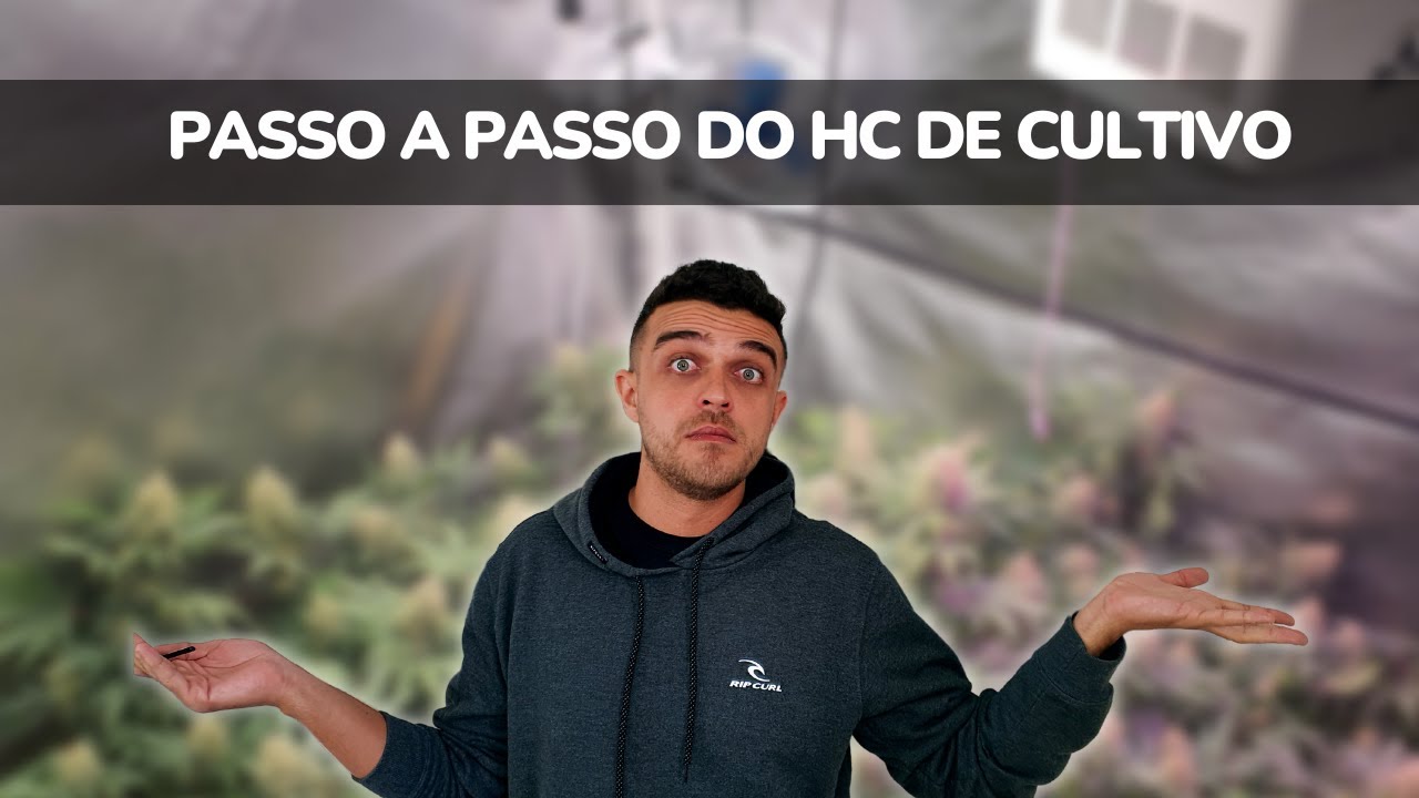 Passo a passo que fiz para autoriza&ccedil;&atilde;o para planta 
