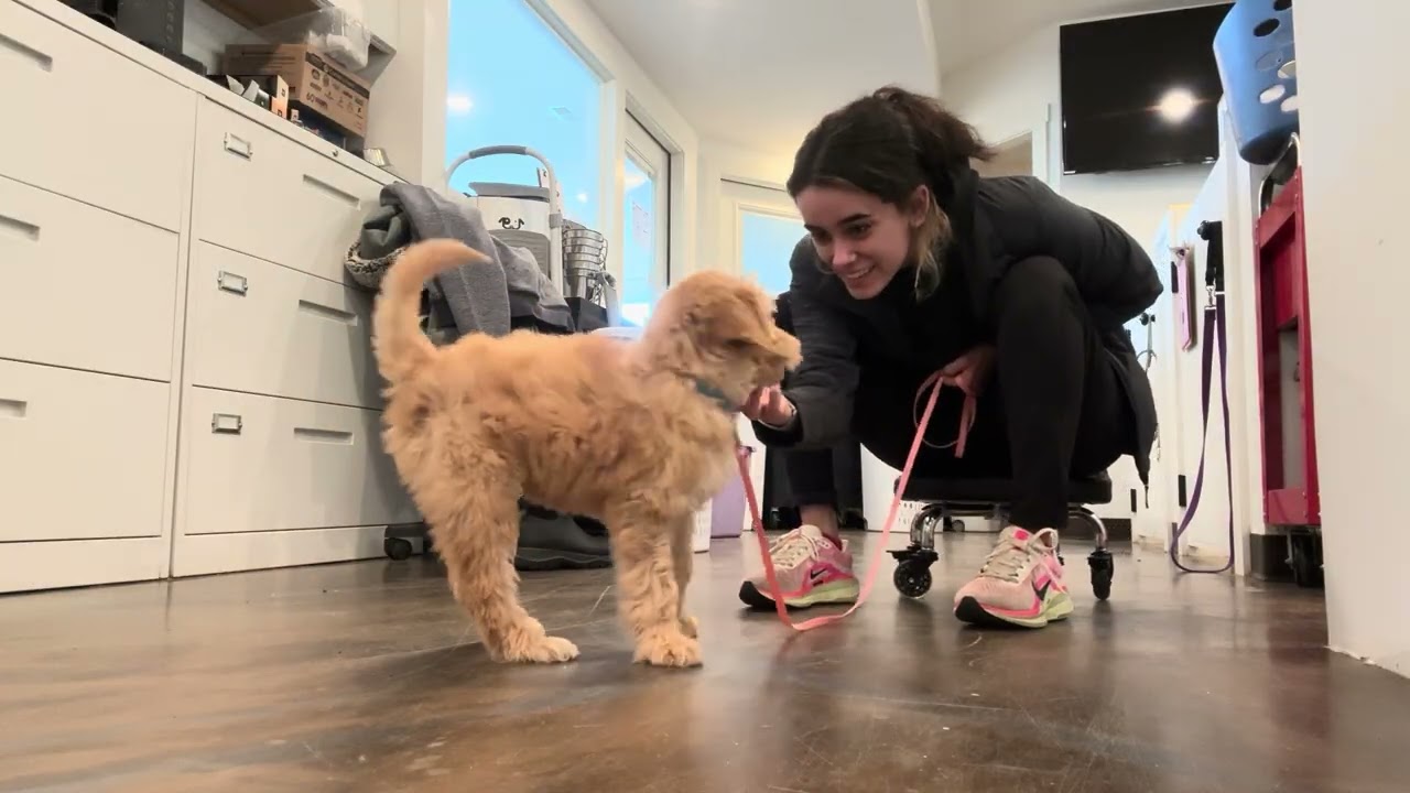Ivy gets Introduced to her Recall! 2.27.26
