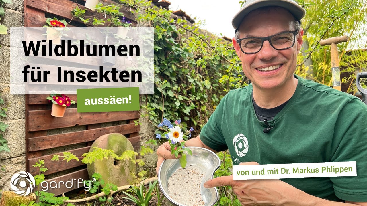 Wildblumen f&uuml;r Insekten! Bienenweide anlegen, Aussaat von Wildpflanzen | gardify Tipps