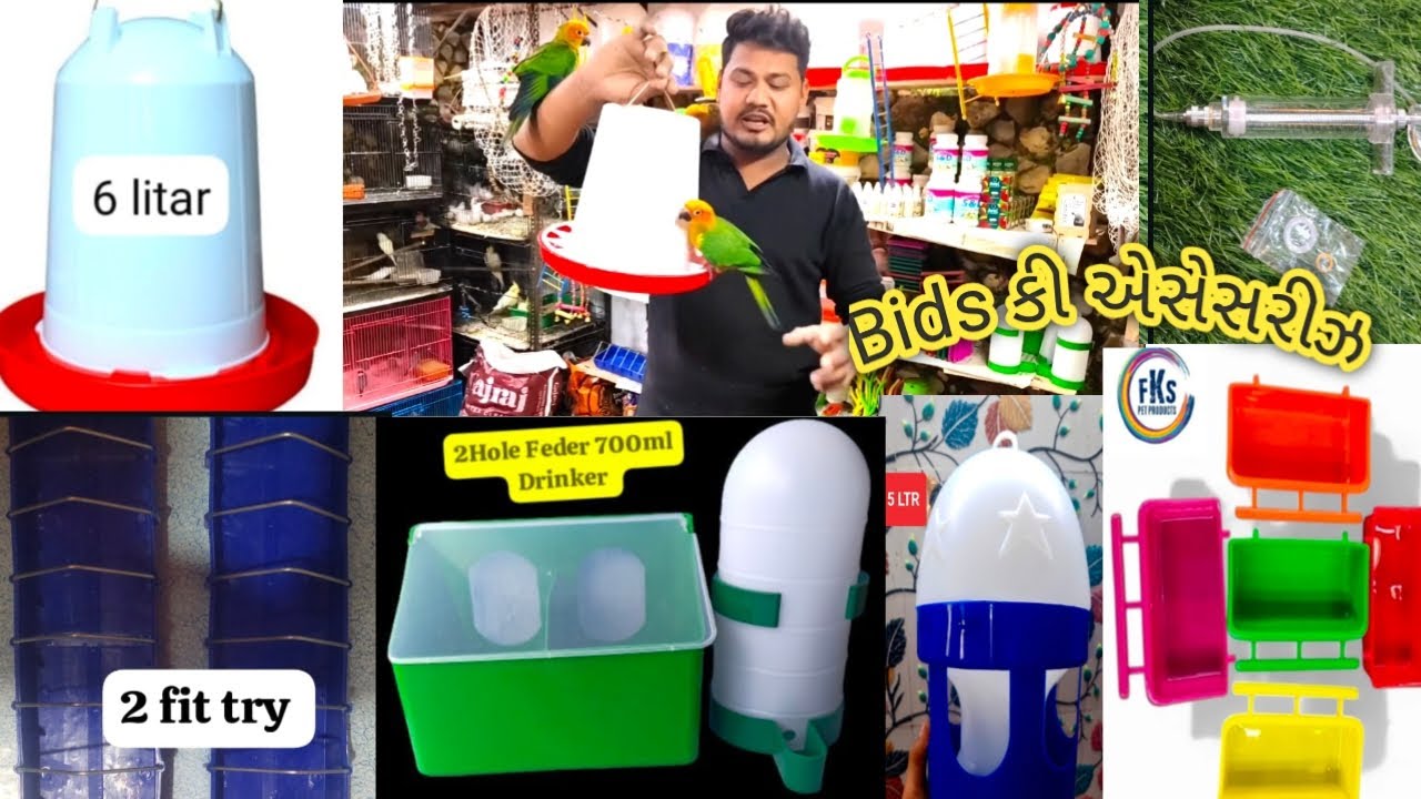 Bids કી એસેસરીઝ