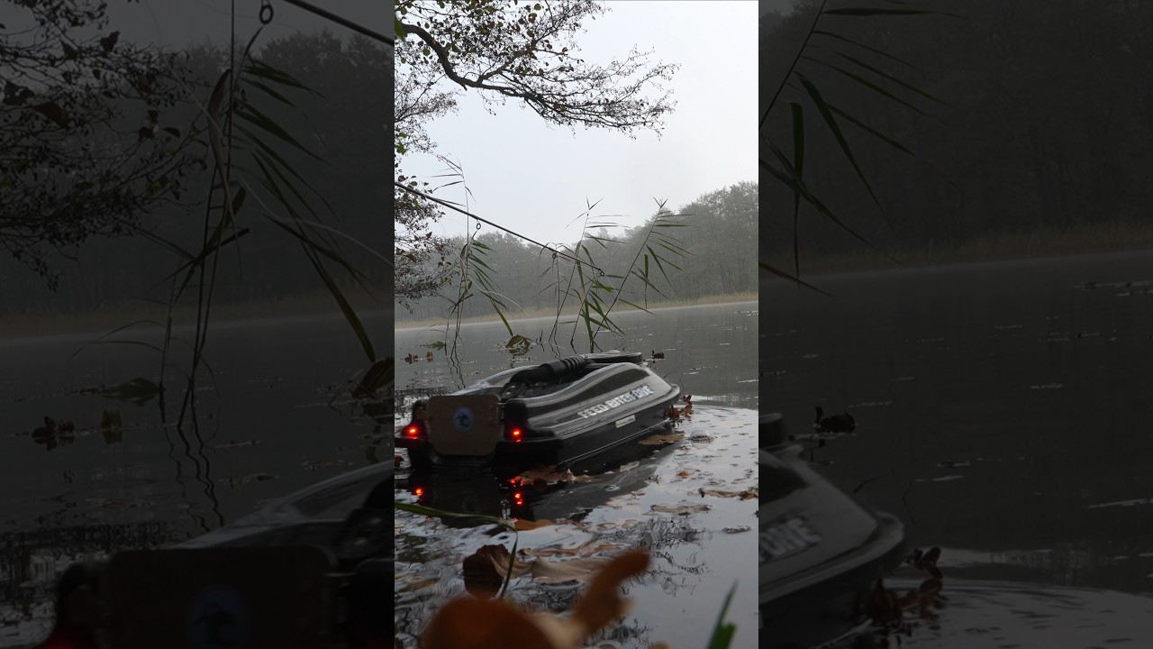 Angeln mit Pose auf Hecht 