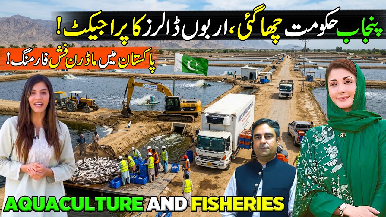 Modern Fish Farming | Punjab Fisheries & Aquaculture Mega Project | Zoom In | Discover Pakistan