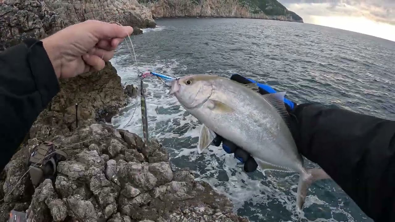 Shore Jigging - 2 Amberjack C&R (Mist fishing assist hooks)