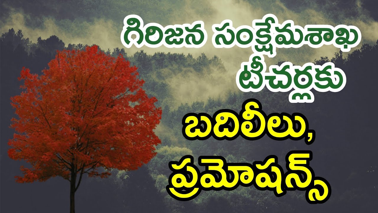 TRIBAL WELFARE DEPARTMENT TEACHERS TRANSFERS. #tribalwelfare#tribalwelfareteachers#apteacherstv