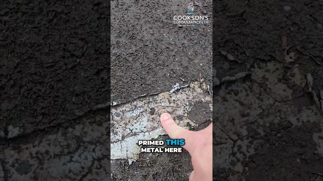 Flat Roof - Various Defects