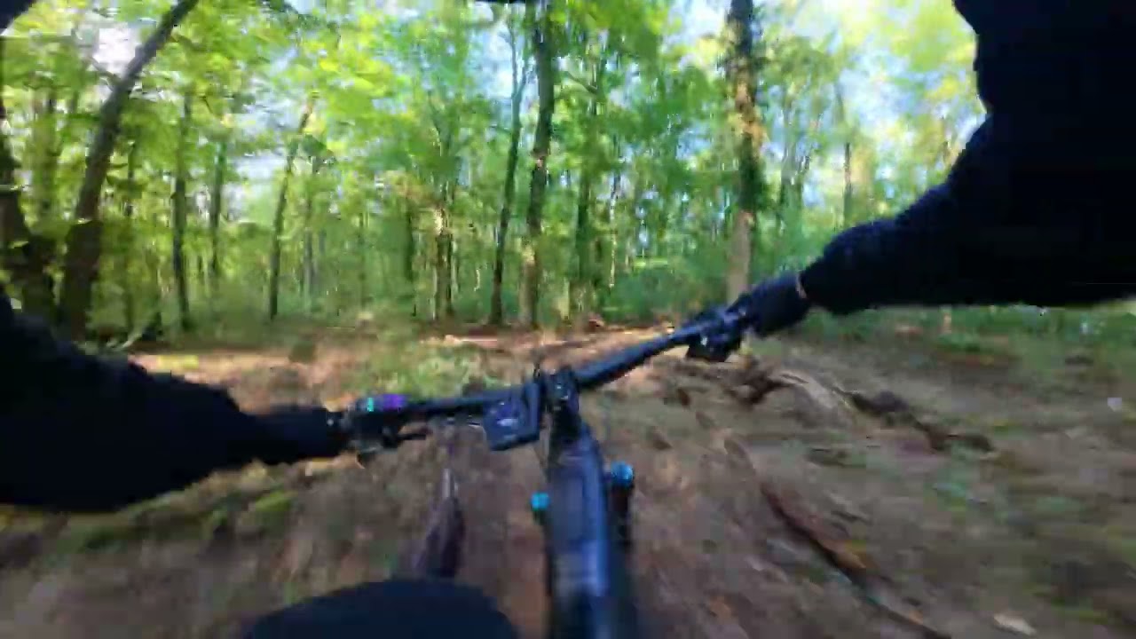Local Trail Edit #1