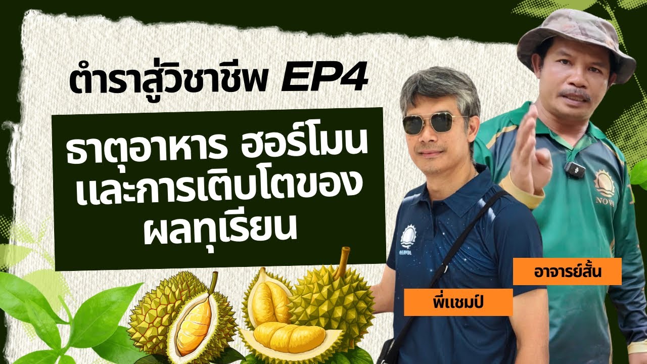 ตำราสู่วิชาชีพ EP4 ธาตุอาหาร ฮอร์โมน และการเคลื่อนที่ ช่วงทำลูก