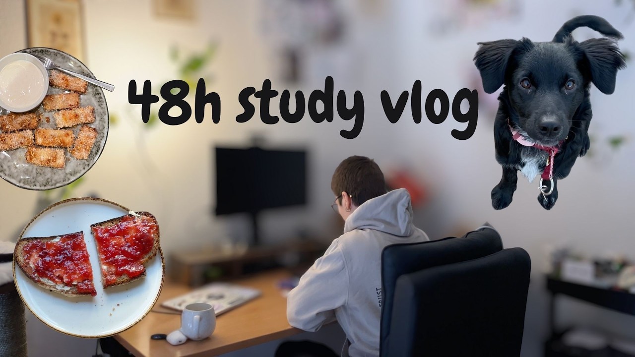 Exam Planning | slow mornings, cooking, coding