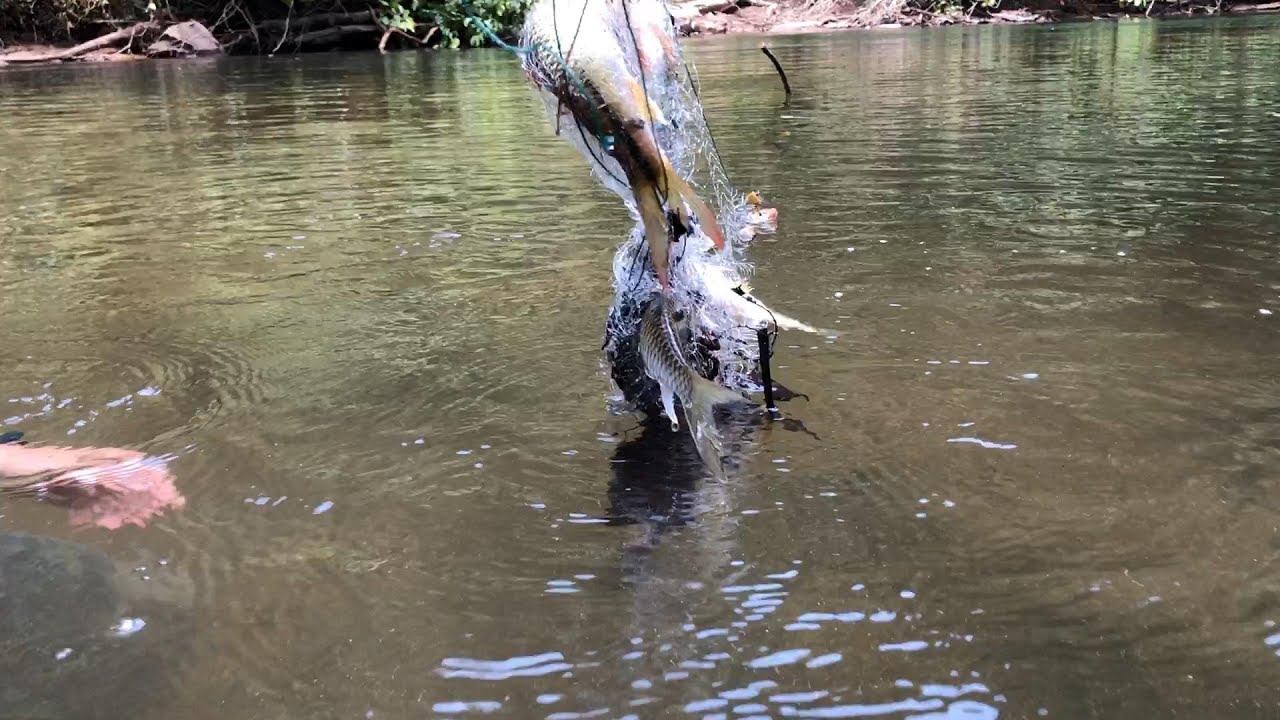 Лучшее место для кемпинга и рыбалки во внутренних районах лесов Западного Калимантана