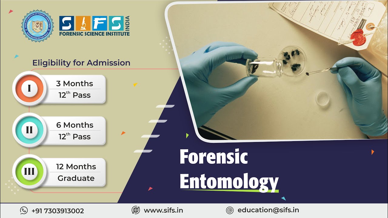 Forensic Entomology | Online Course  Sherlock Institute of Forensic Science