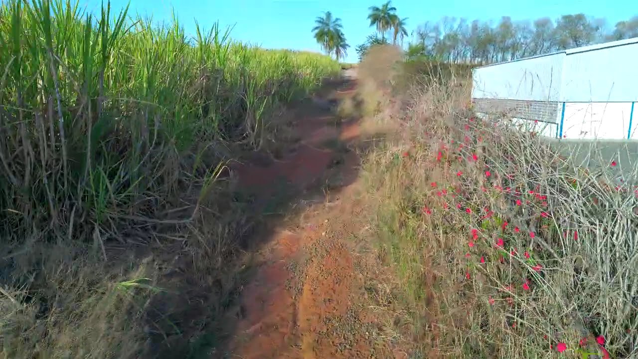 20250823 Hubsan Mini 1 Inch Voo baixo na Estrada fechada 