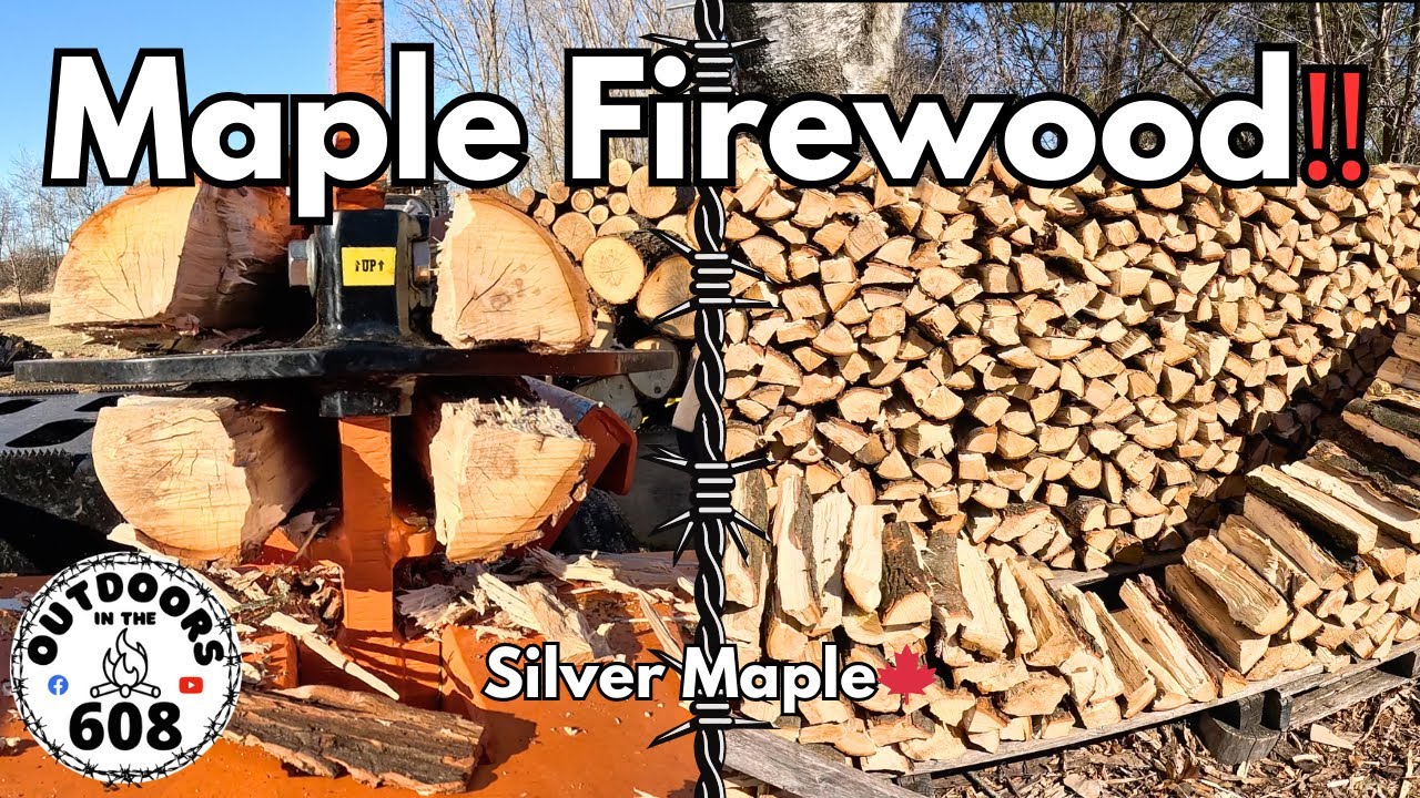 Silver Maple Makes Great Firewood‼️🍁