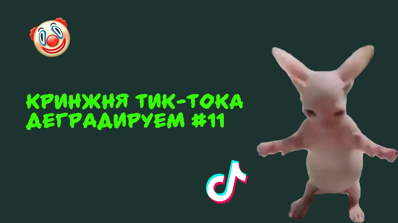 КРИНЖНЯ ТИК-ТОК | 11 ВЫПУСК | ДЕГРАДИРУЕМ