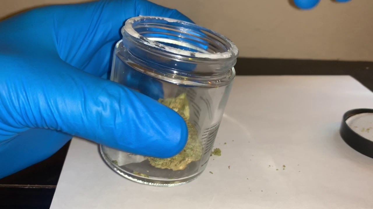 True 420 Review - King Kong Cookies & Purple Goats - ShowGrow Las Vegas