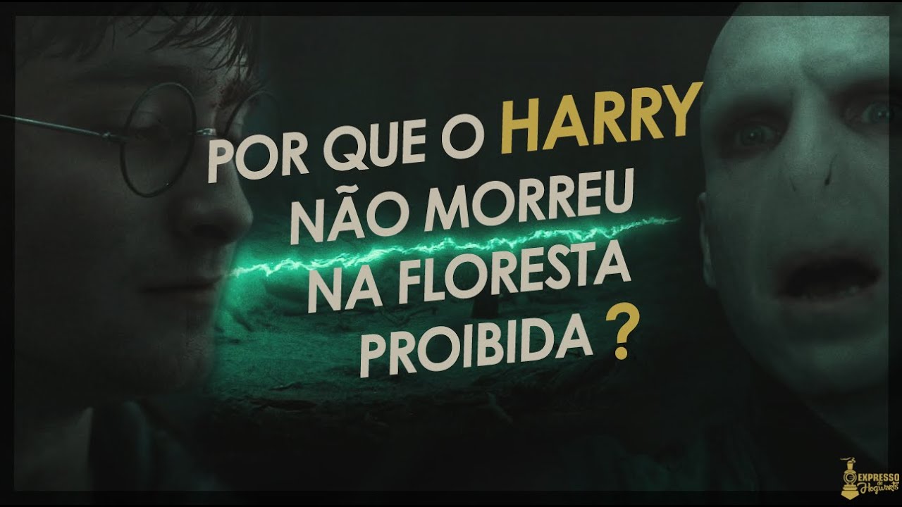 ERROS DE INTERPRETAÇÃO dos fãs de Harry Potter