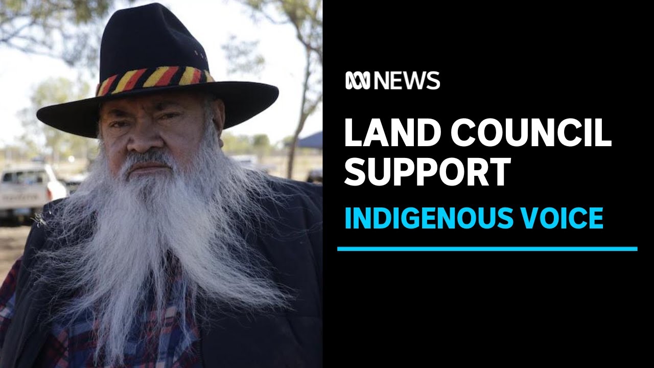 Land councils unified in support of Indigenous Voice to Parliament | ABC News