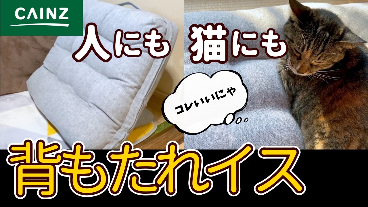 カインズ【背もたれイス】が人にも猫にも使えて便利です