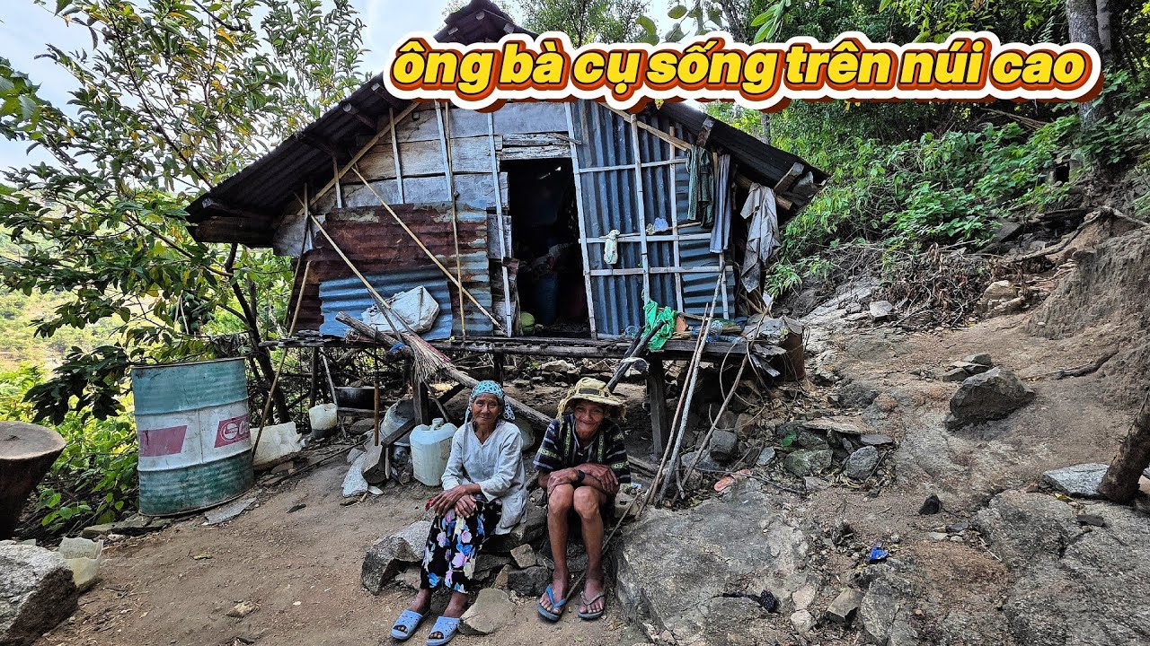Ông bà cụ SỐNG ẨN Ở NÚI CAO chặt củi kiếm ăn qua ngày || 497