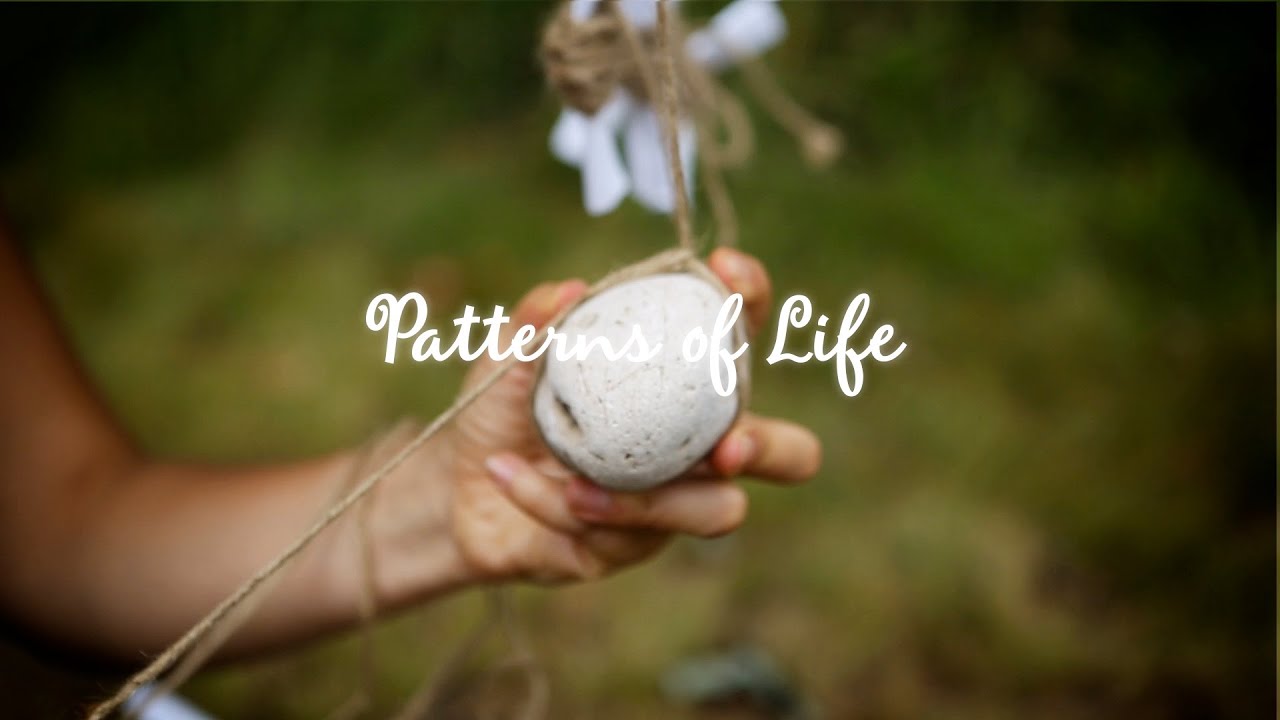 Patterns of Life