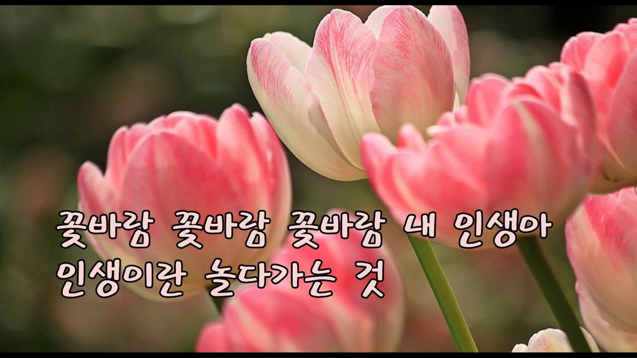 한가빈 - 꽃바람 / 가사첨부