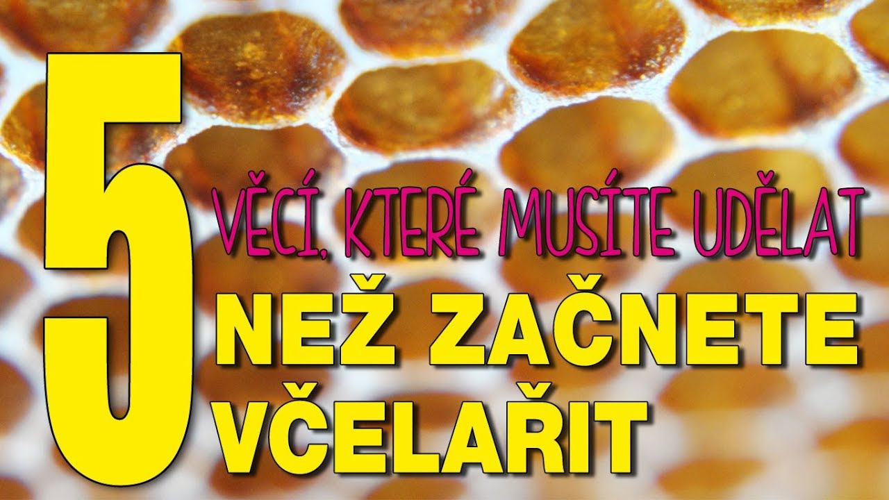 Než začnete včelařit...